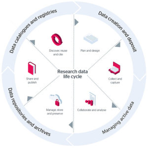 research data lifecycle