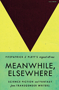 Meanwhile, Elsewhere Cover