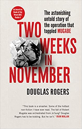 Book cover for Two Weeks in November