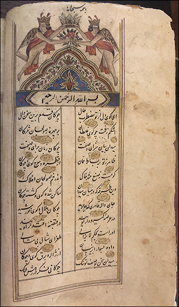 manuscript image