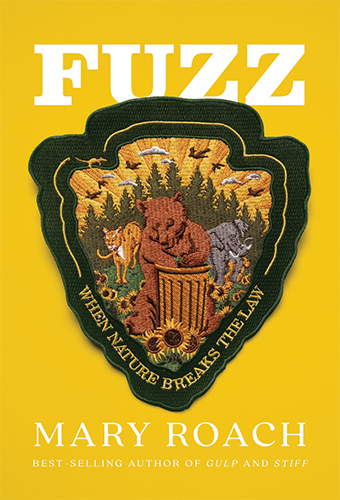 Book cover for Fuzz