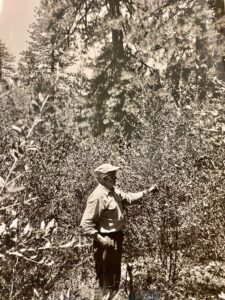 A black and white photograph of a man assessing forest conditions