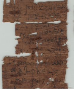 A selection of lines from Scribe X’s account papyrus P.Tebt.UC 2489, displaying Demotic and Greek written on the same document, both written with the reed pen.