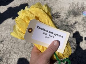 A folded paper flower with a name tag